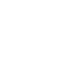 Informascope